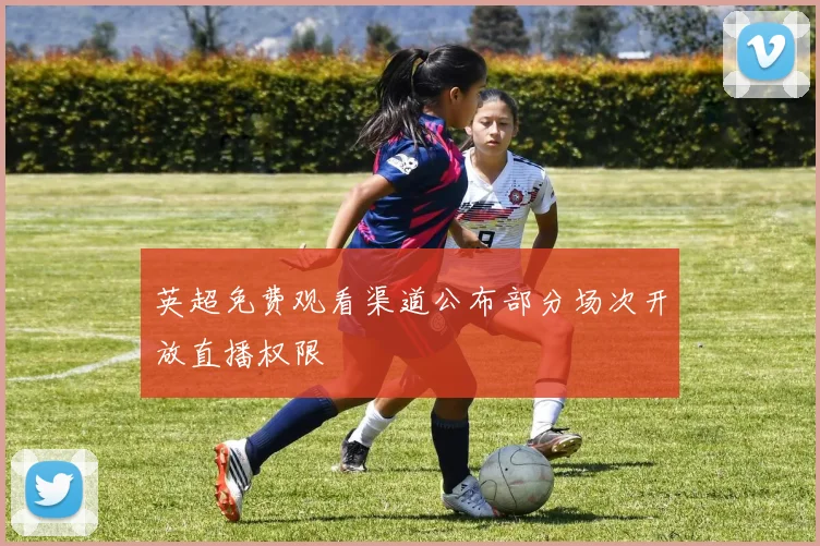 英超免费观看渠道公布部分场次开放直播权限