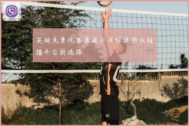 英超免费观看渠道公布球迷热议转播平台新选择